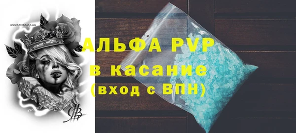 стаф Алексин
