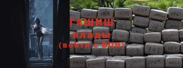 прущие грибы Алзамай