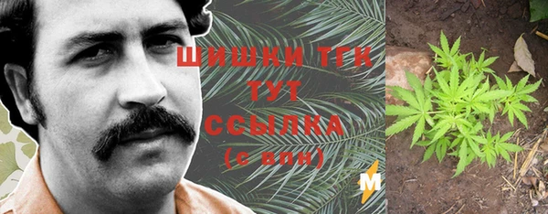 прущие грибы Алзамай