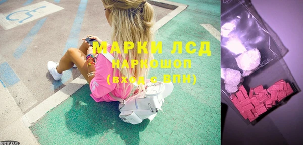 прущие грибы Алзамай