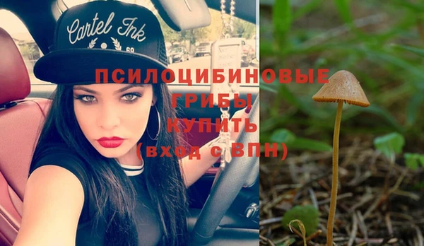 PSILOCYBIN Мегион
