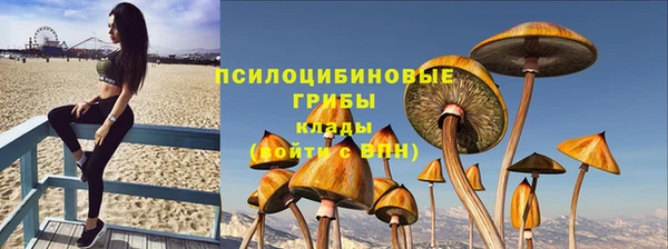 гидропоника Абаза
