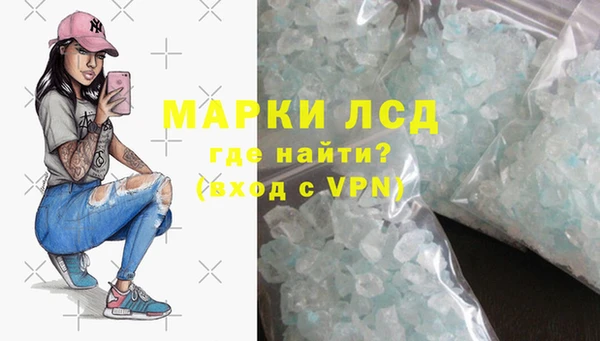 стаф Алексин